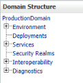 Domain Structure options