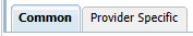 Provider Specific tab